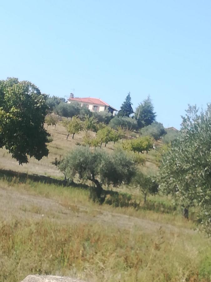 Casa Das Argolas Macedo de Cavaleiros Dış mekan fotoğraf